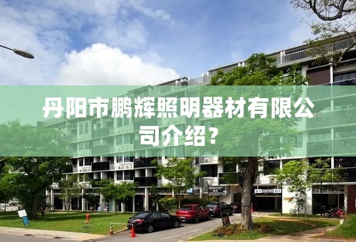 丹阳市鹏辉照明器材有限公司介绍？