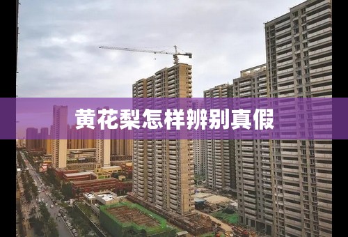 黄花梨怎样辨别真假
