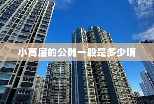 小高层的公摊一般是多少啊