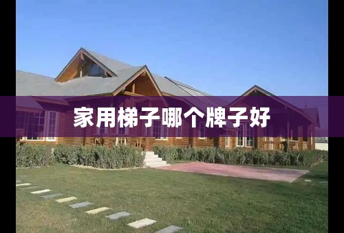 家用梯子哪个牌子好