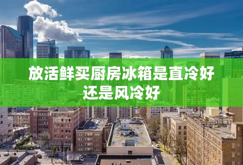 放活鲜买厨房冰箱是直冷好还是风冷好