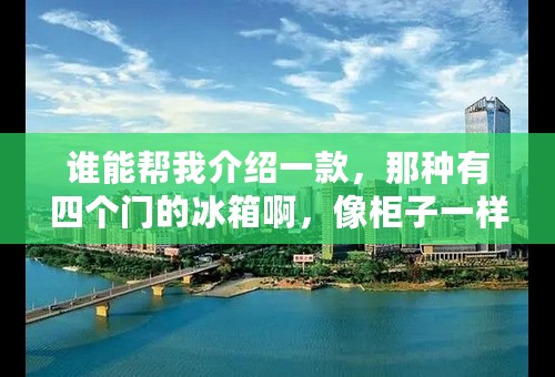 谁能帮我介绍一款，那种有四个门的冰箱啊，像柜子一样的，挺大气，帮帮忙啊各位，对了，最好是节能点的