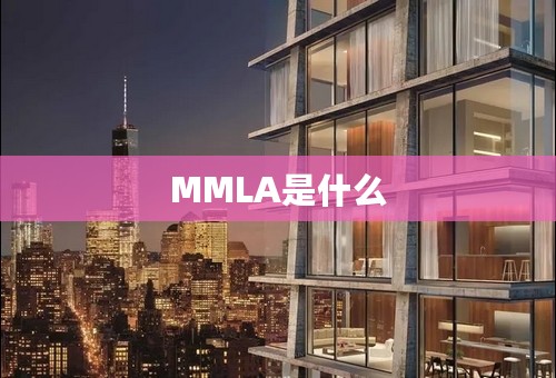 MMLA是什么