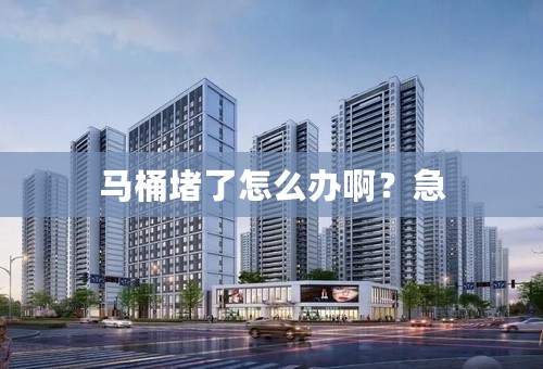 马桶堵了怎么办啊？急