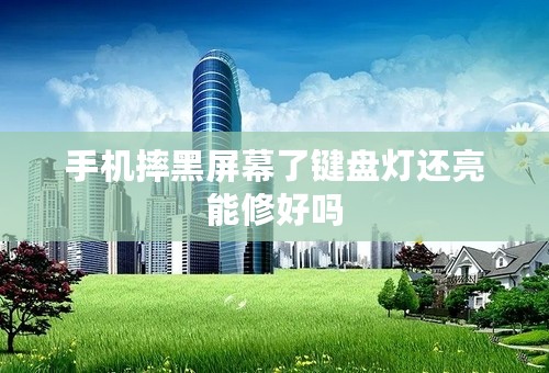 手机摔黑屏幕了键盘灯还亮能修好吗