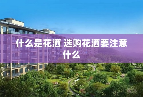 什么是花洒 选购花洒要注意什么