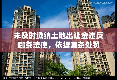 未及时缴纳土地出让金违反哪条法律，依据哪条处罚