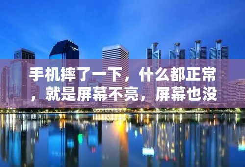 手机摔了一下，什么都正常，就是屏幕不亮，屏幕也没有烂啊，怎么回事啊！