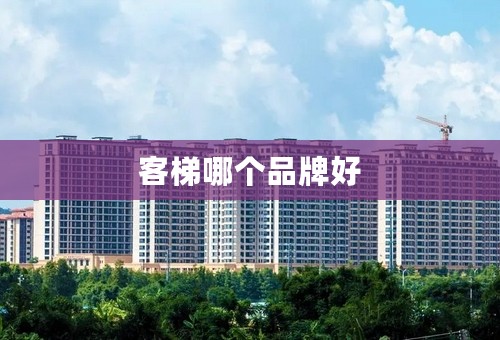 客梯哪个品牌好