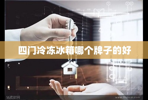四门冷冻冰箱哪个牌子的好