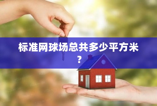 标准网球场总共多少平方米？