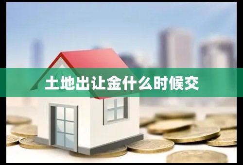 土地出让金什么时候交