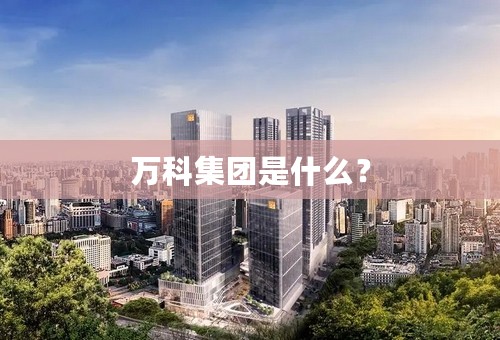 万科集团是什么？