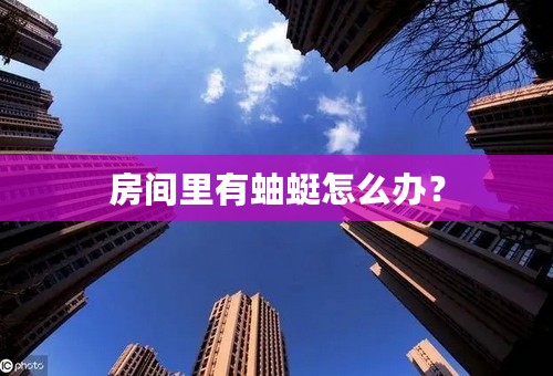 房间里有蚰蜓怎么办？