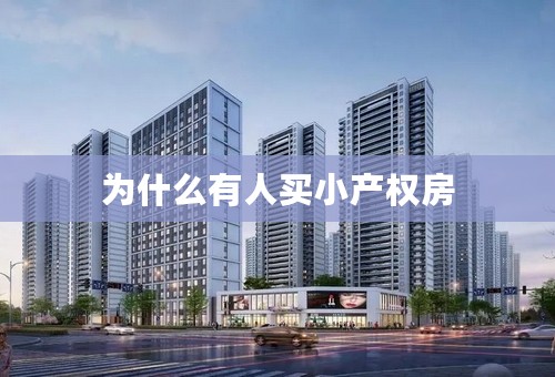 为什么有人买小产权房