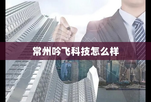 常州吟飞科技怎么样