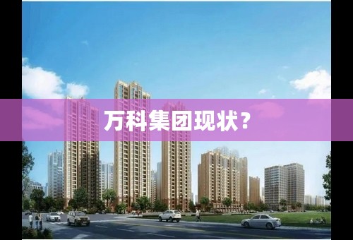 万科集团现状？