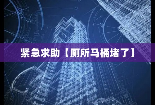 紧急求助【厕所马桶堵了】