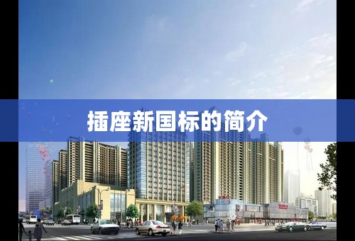 插座新国标的简介