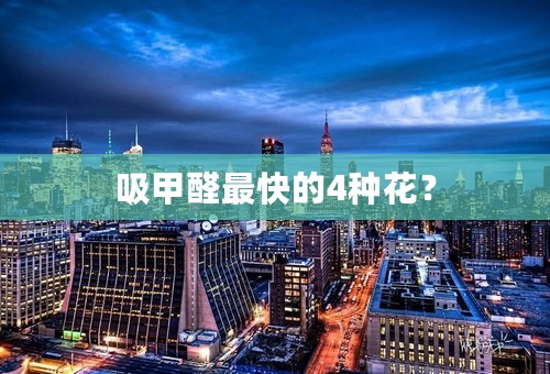 吸甲醛最快的4种花？