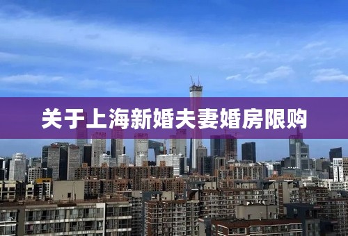 关于上海新婚夫妻婚房限购