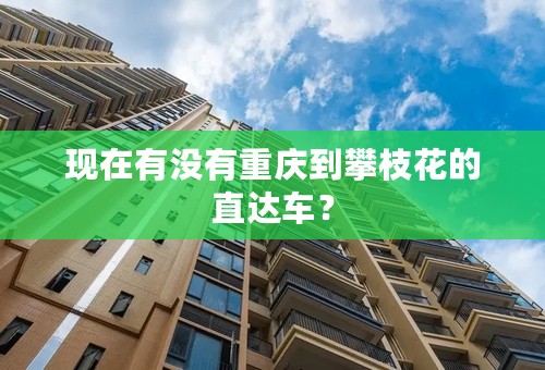 现在有没有重庆到攀枝花的直达车？