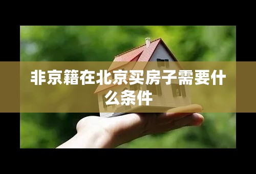 非京籍在北京买房子需要什么条件