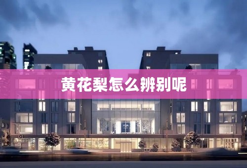 黄花梨怎么辨别呢