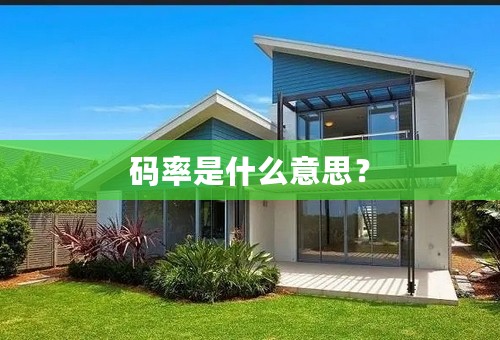 码率是什么意思？