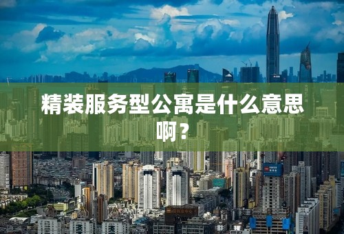 精装服务型公寓是什么意思啊？