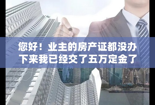 您好！业主的房产证都没办下来我已经交了五万定金了，还需要给业主钱