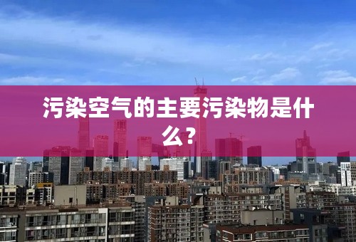 污染空气的主要污染物是什么？
