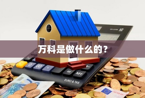万科是做什么的？