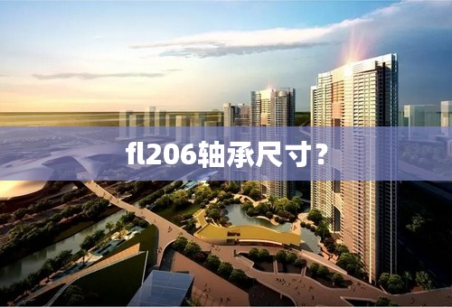 fl206轴承尺寸？