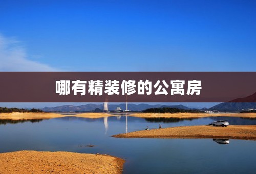 哪有精装修的公寓房
