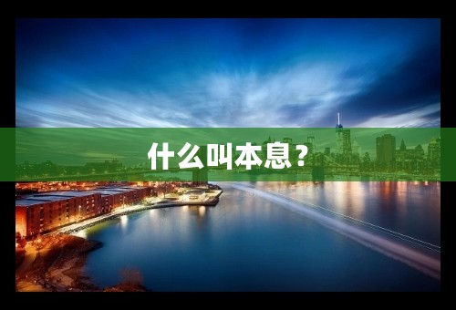 什么叫本息？