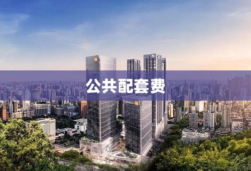 公共配套费