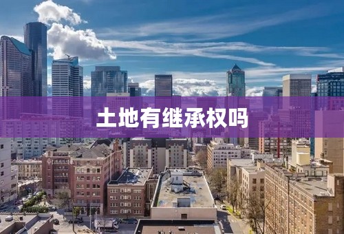 土地有继承权吗