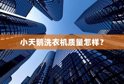 小天鹅洗衣机质量怎样？