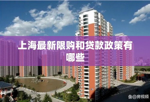 上海最新限购和贷款政策有哪些