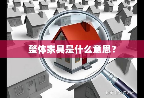整体家具是什么意思？