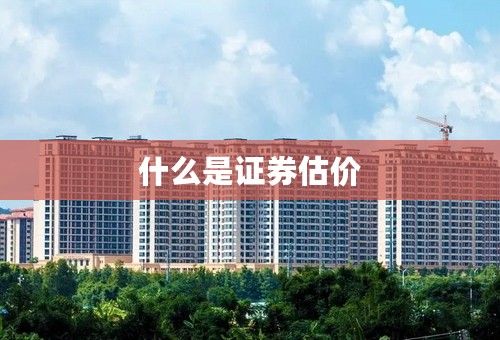 什么是证券估价