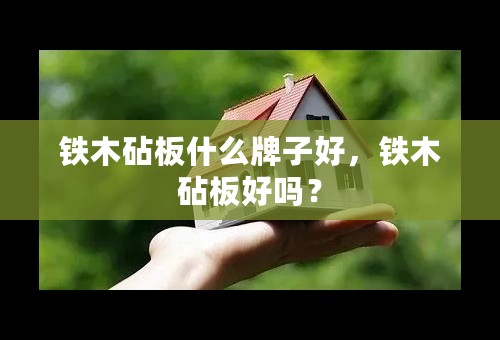 铁木砧板什么牌子好，铁木砧板好吗？
