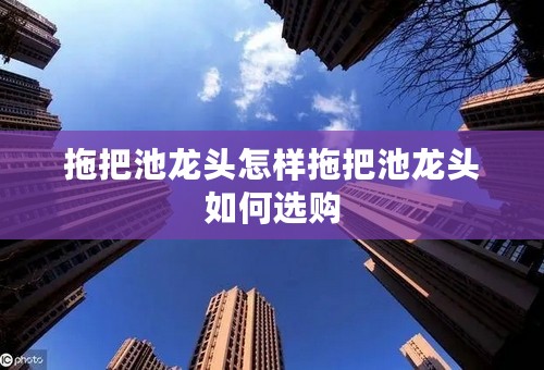 拖把池龙头怎样拖把池龙头如何选购
