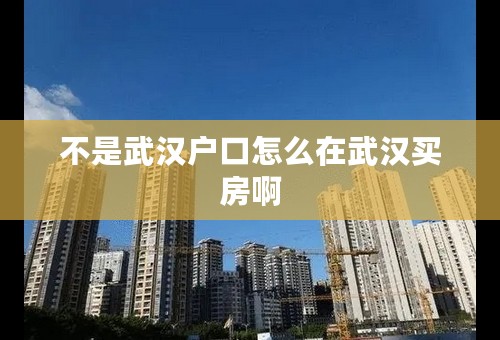 不是武汉户口怎么在武汉买房啊