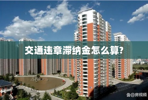 交通违章滞纳金怎么算?