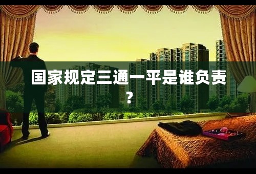 国家规定三通一平是谁负责？