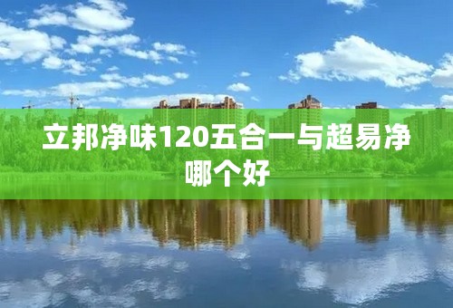 立邦净味120五合一与超易净哪个好
