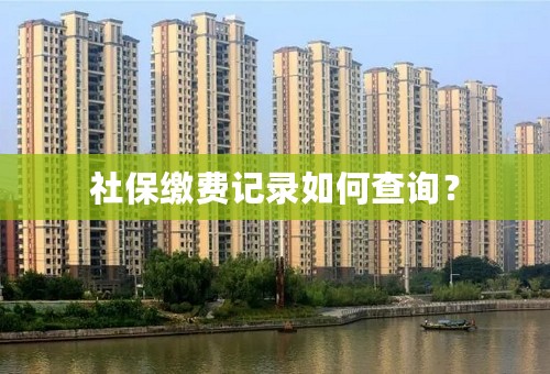 社保缴费记录如何查询？