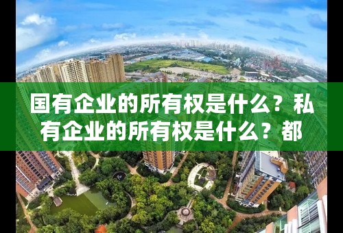 国有企业的所有权是什么？私有企业的所有权是什么？都是有限责任公司么？